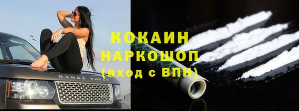 сатива Лихославль